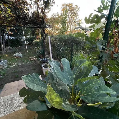 Apartmán Jugo I Bura Omiš